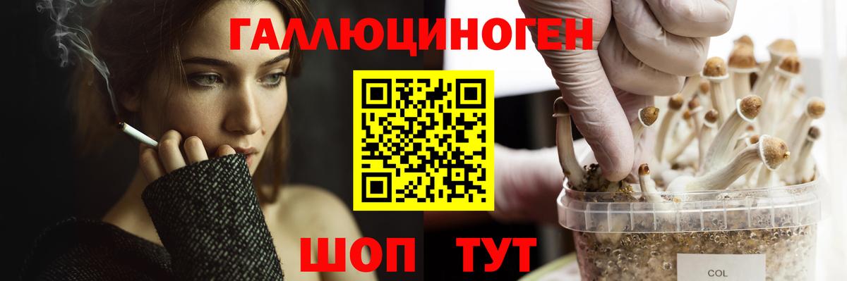 Полевской  Псилоцибиновые грибы Psilocybine cubensis  Вход с VPN  Галлюциногенные грибы мицелий 